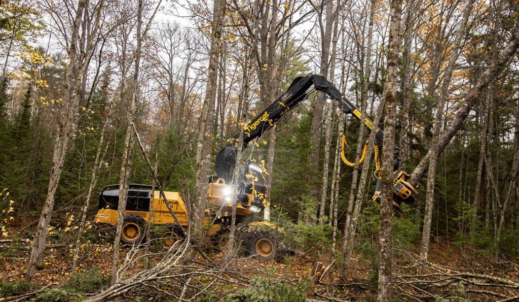 Tigercat Harvester 1165 em operação