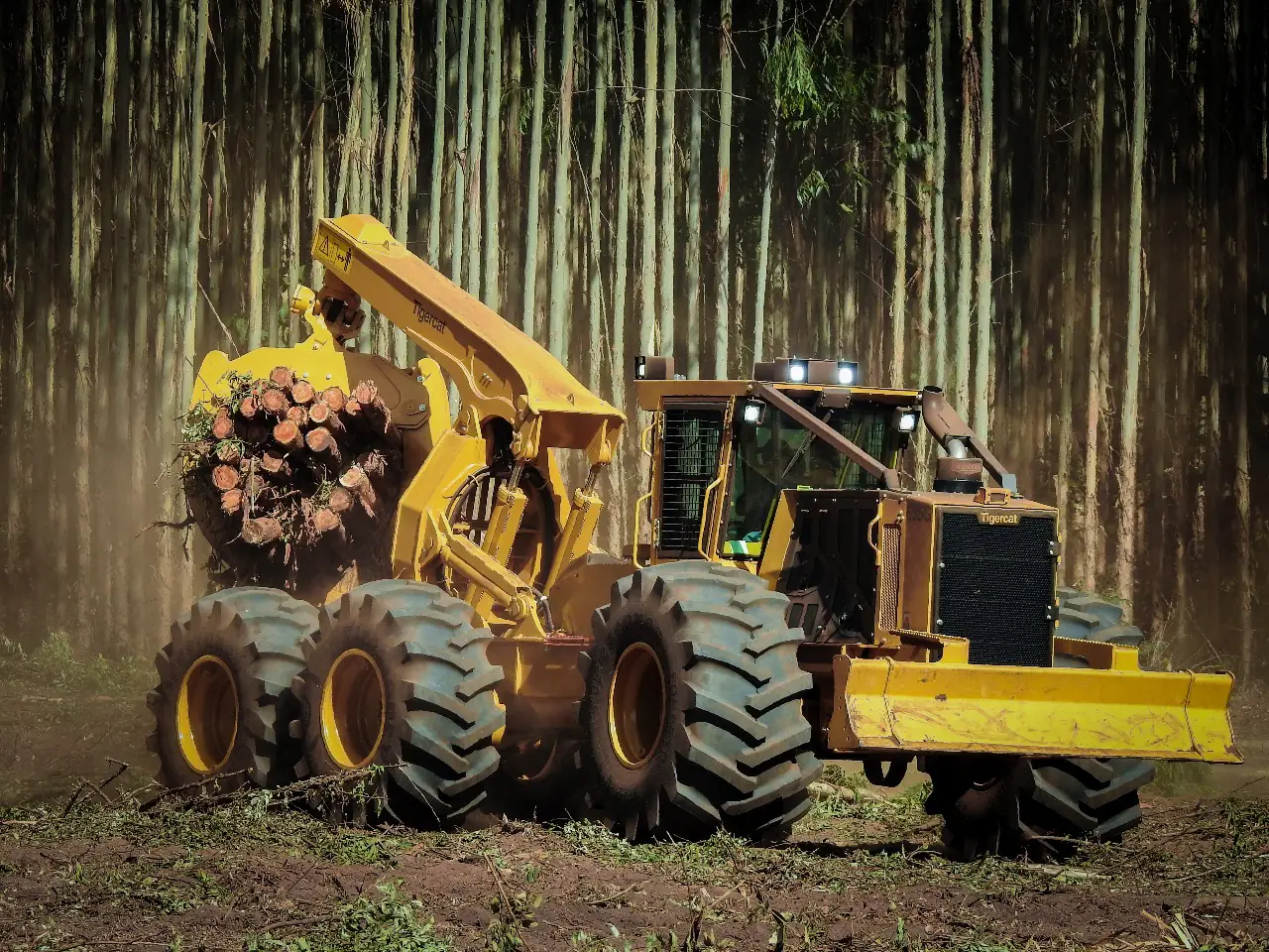 Skidder Tigercat 635