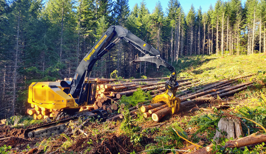 Feller Buncher LS857 e Feller Buncher L877 2
