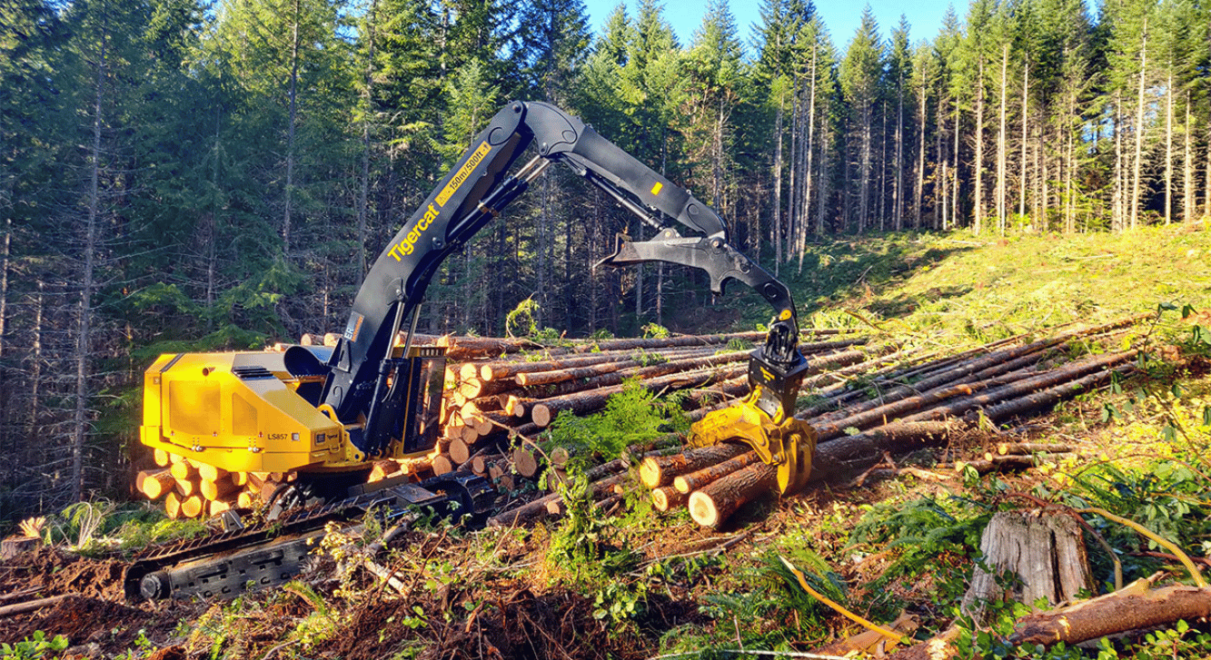 Feller Buncher LS857 e Feller Buncher L877 5