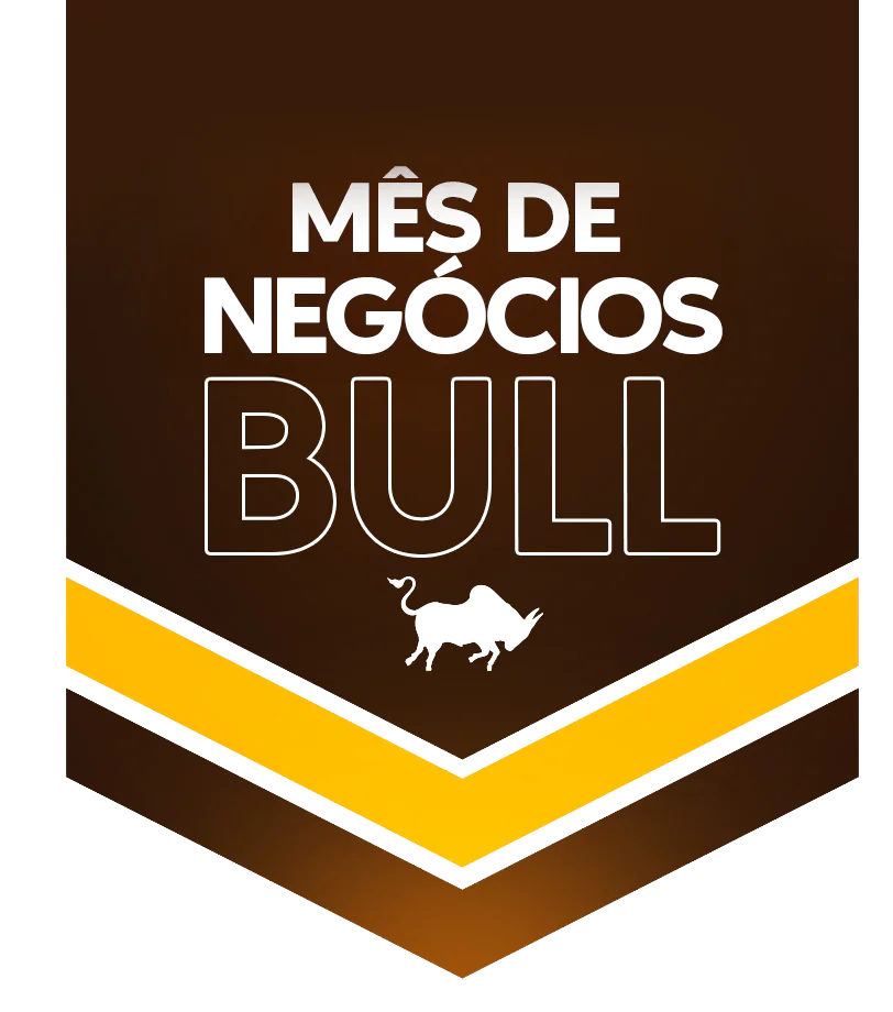 Box 2 2 LP - Campanha Mês de Negócios Bull 2025